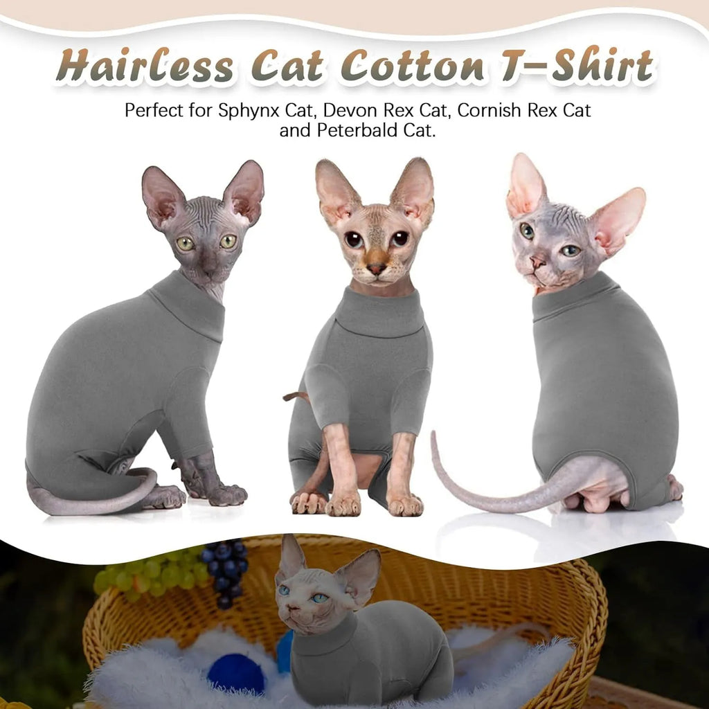 Grey sphynx cat wearing soft turtleneck winter sweater with two leg openings and semi-turtleneck design