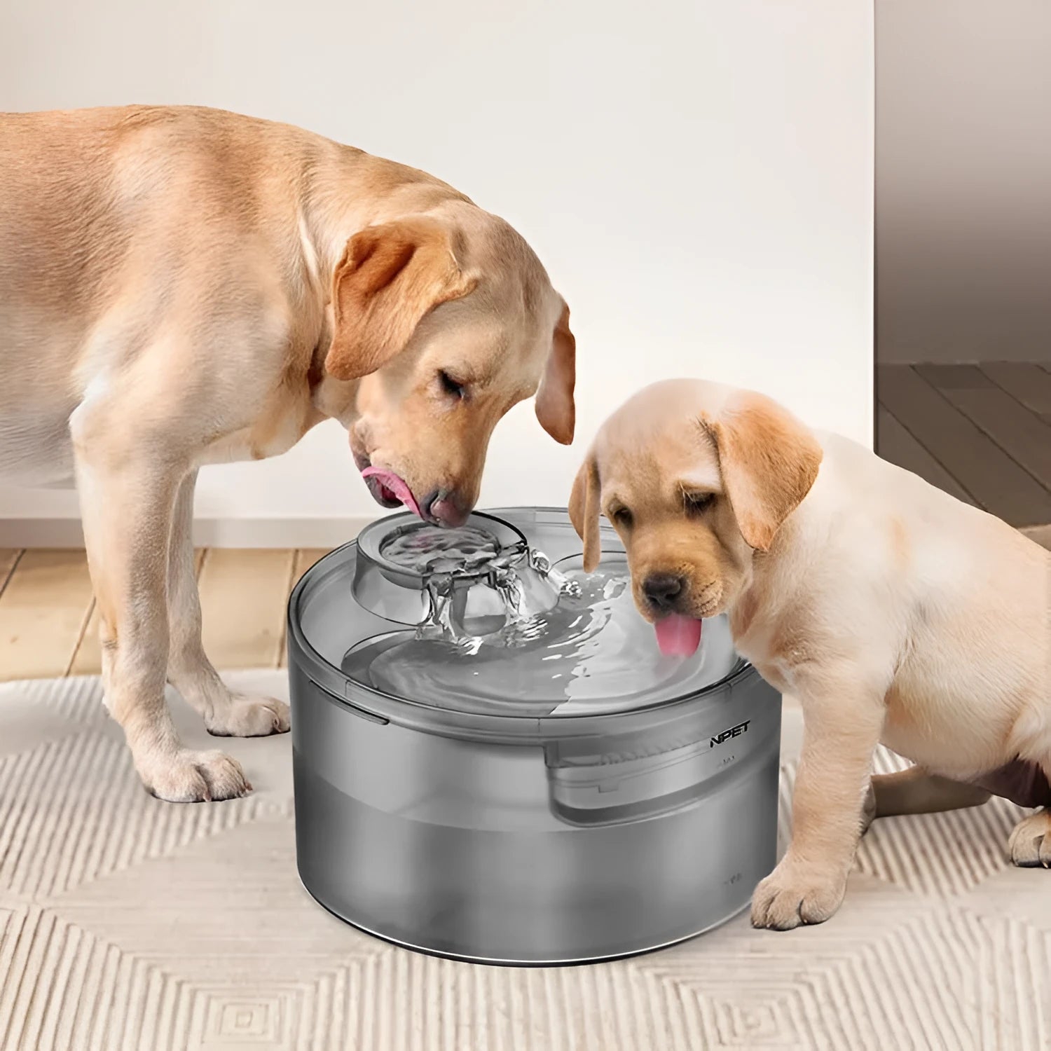 Automatic circulating water dispenser for cats and dogs with filter and pump on a kitchen floor.