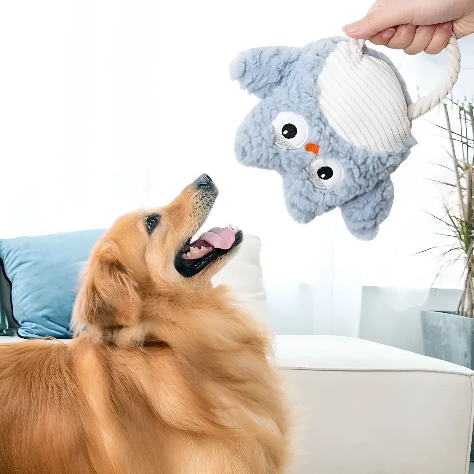 Plush corduroy caterpillar fabric dog toy in shark shape with squeaker on white background