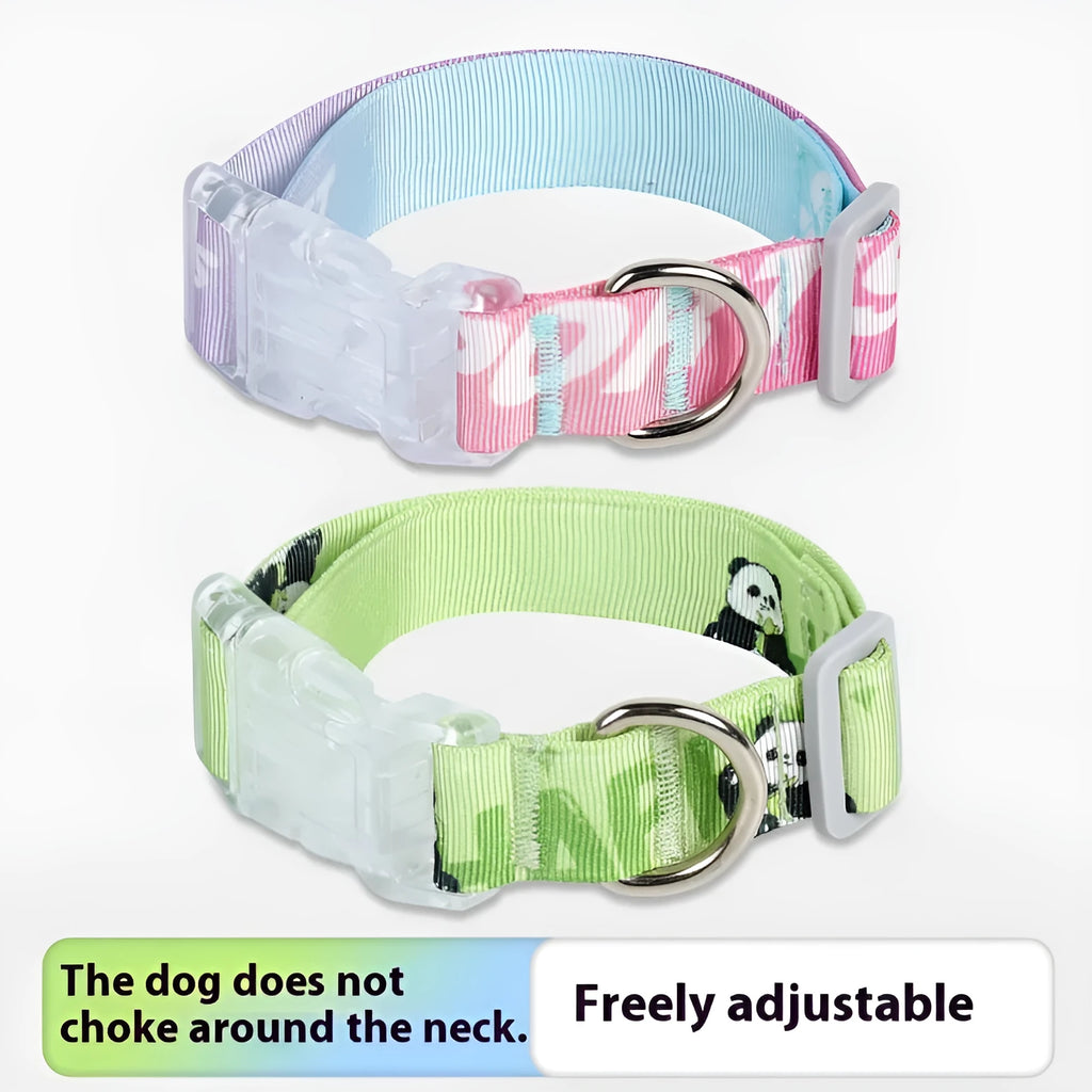 Adjustable nylon dog collar with cartoon gradient printing in panda green and other colours.