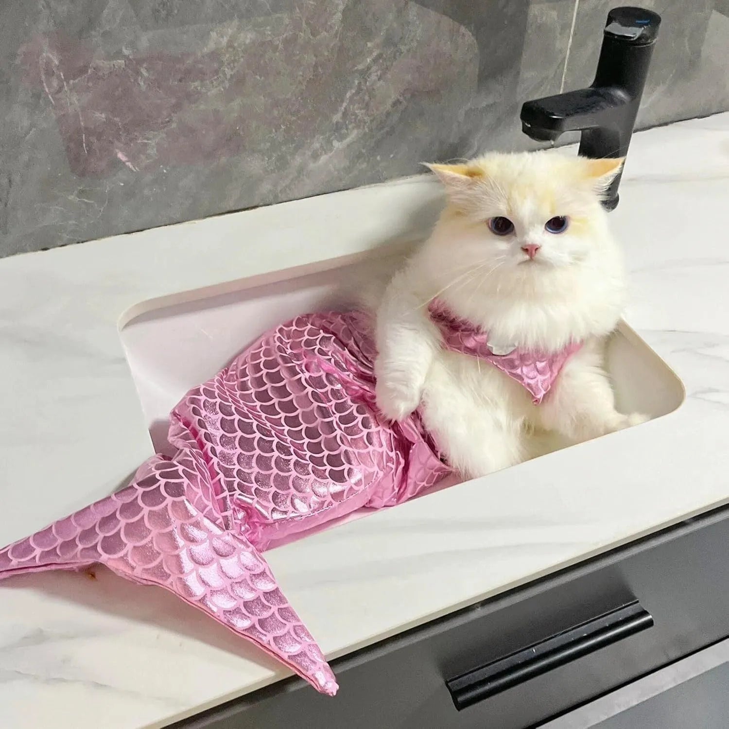 Blue mermaid costume on a cat showing the long glittering fishtail and elastic chest strap.