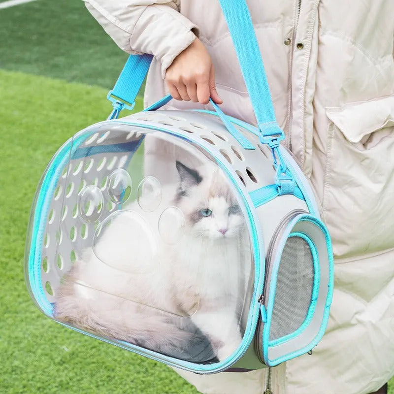 Large transparent hard EVA cat backpack carrier in grass green colour, showing spacious interior.
