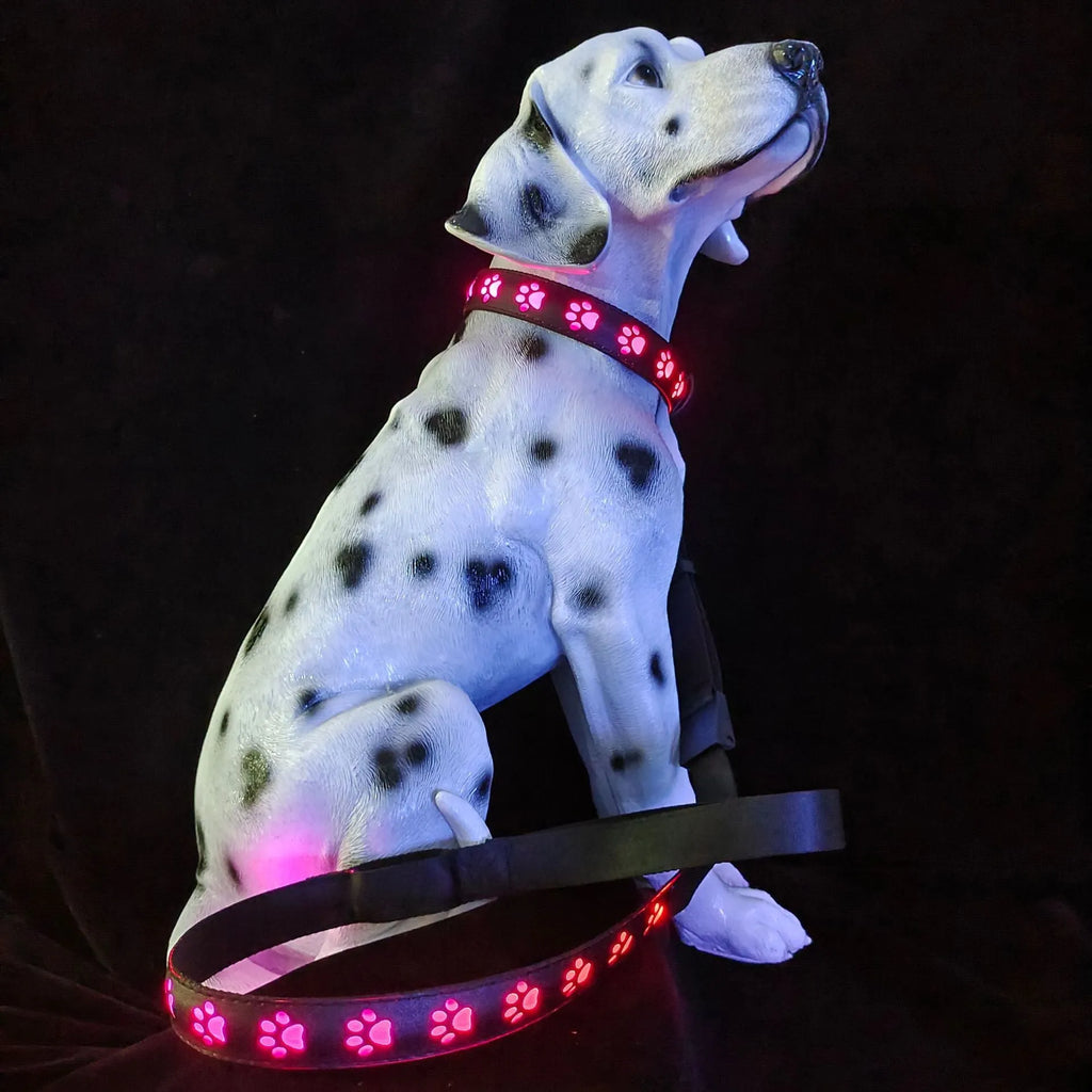 LED luminous dog collar with paw printing and seven colour-changing lights on a polyester strap.