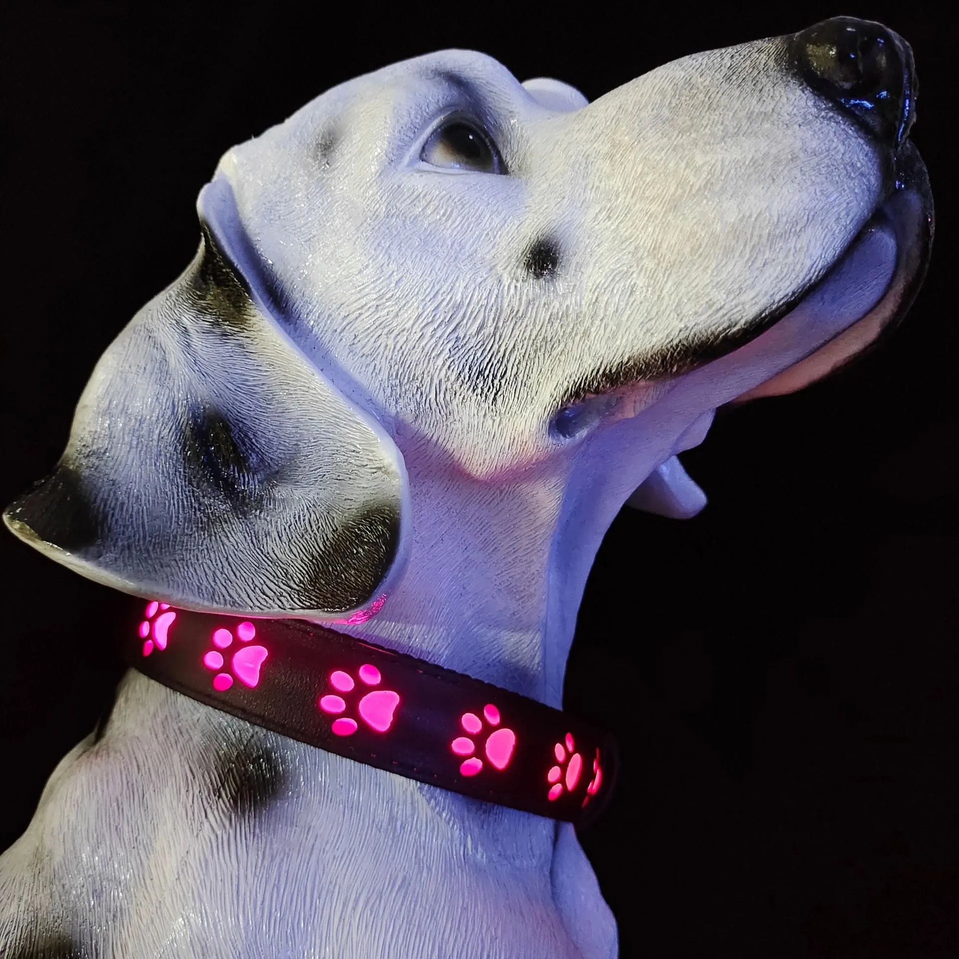 LED luminous dog collar with paw printing and seven colour-changing lights on a polyester strap.