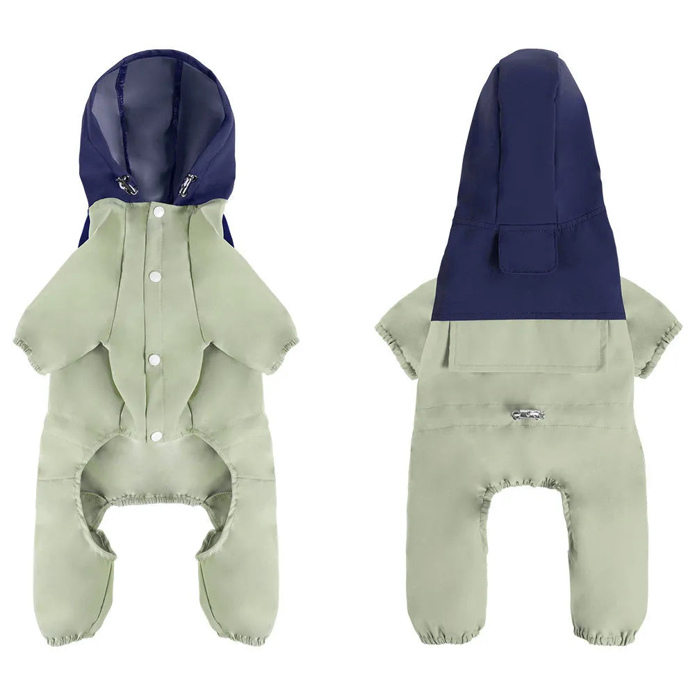 A small dog wearing a khaki-coloured British-style waterproof shell jacket outdoors.