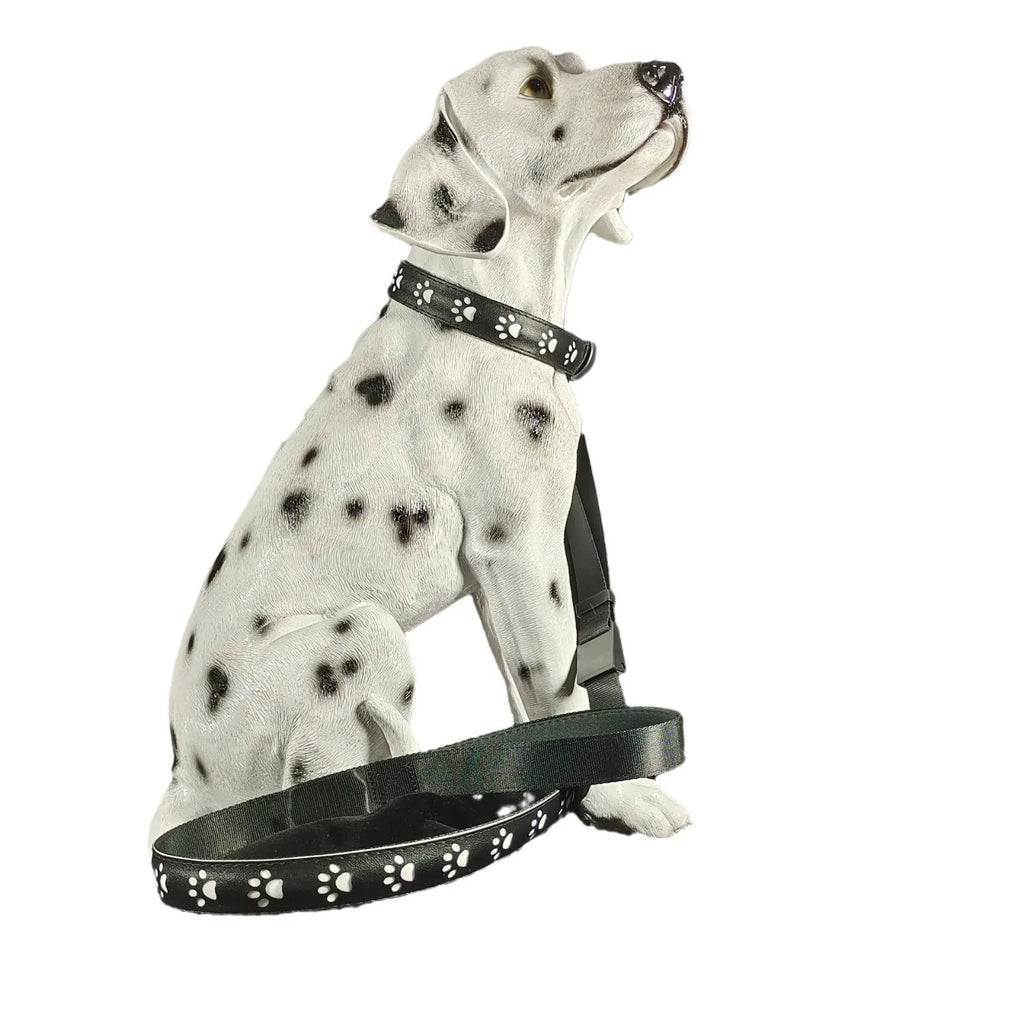 LED luminous dog collar with paw printing and seven colour-changing lights on a polyester strap.
