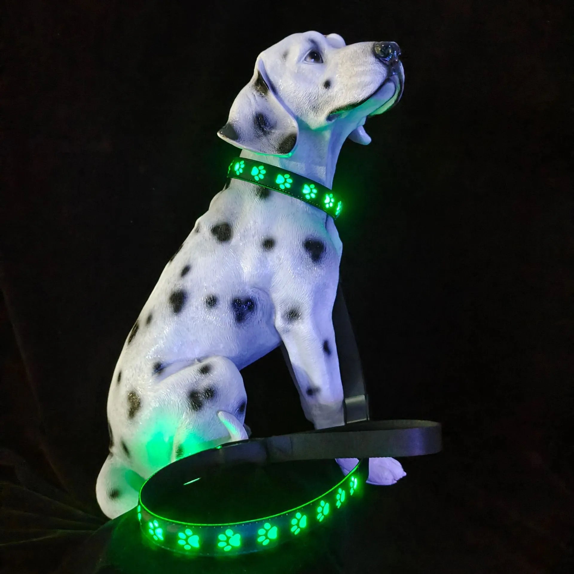 LED luminous dog collar with paw printing and seven colour-changing lights on a polyester strap.