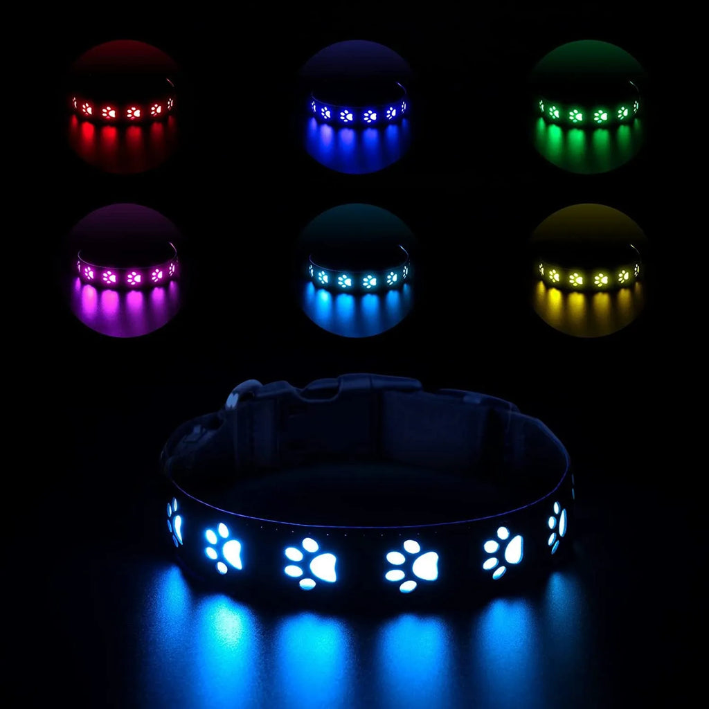LED luminous dog collar with paw printing and seven colour-changing lights on a polyester strap.