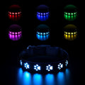 LED luminous dog collar with paw printing and seven colour-changing lights on a polyester strap.