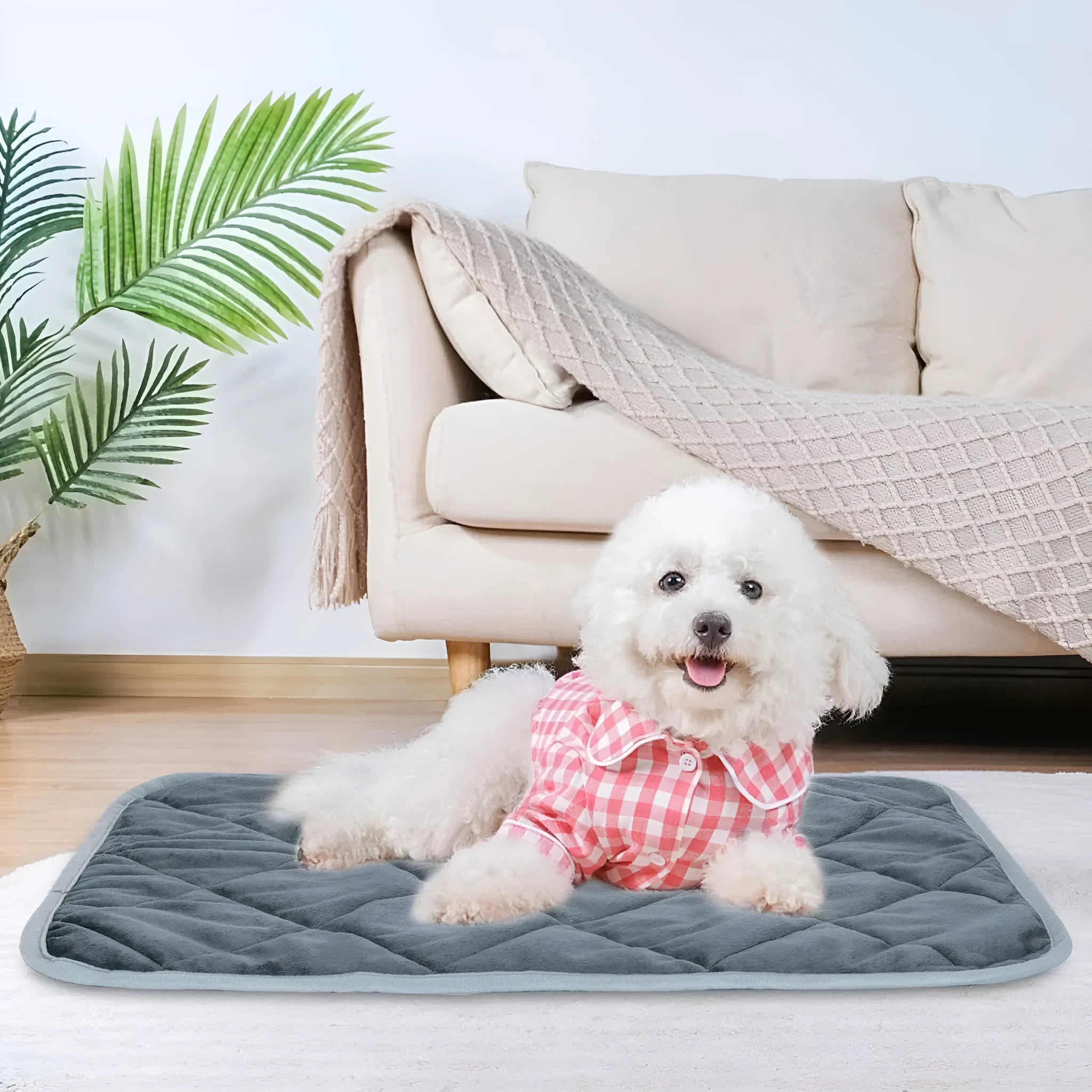Grey multi-layer cloth pet cushion shown in four different sizes for small to extra-large dogs and cats.