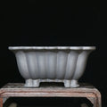 Purple sand ceramic square bonsai pot with 37cm x 15cm inner diameter on desktop