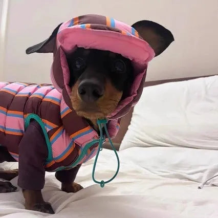 Dirty pink striped dog vest and matching hat set for autumn and winter wear