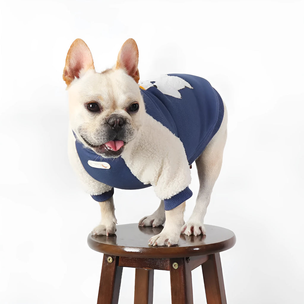 Dark blue fleece-lined winter dog coat shown on a small dog, highlighting the cotton material and thick style.