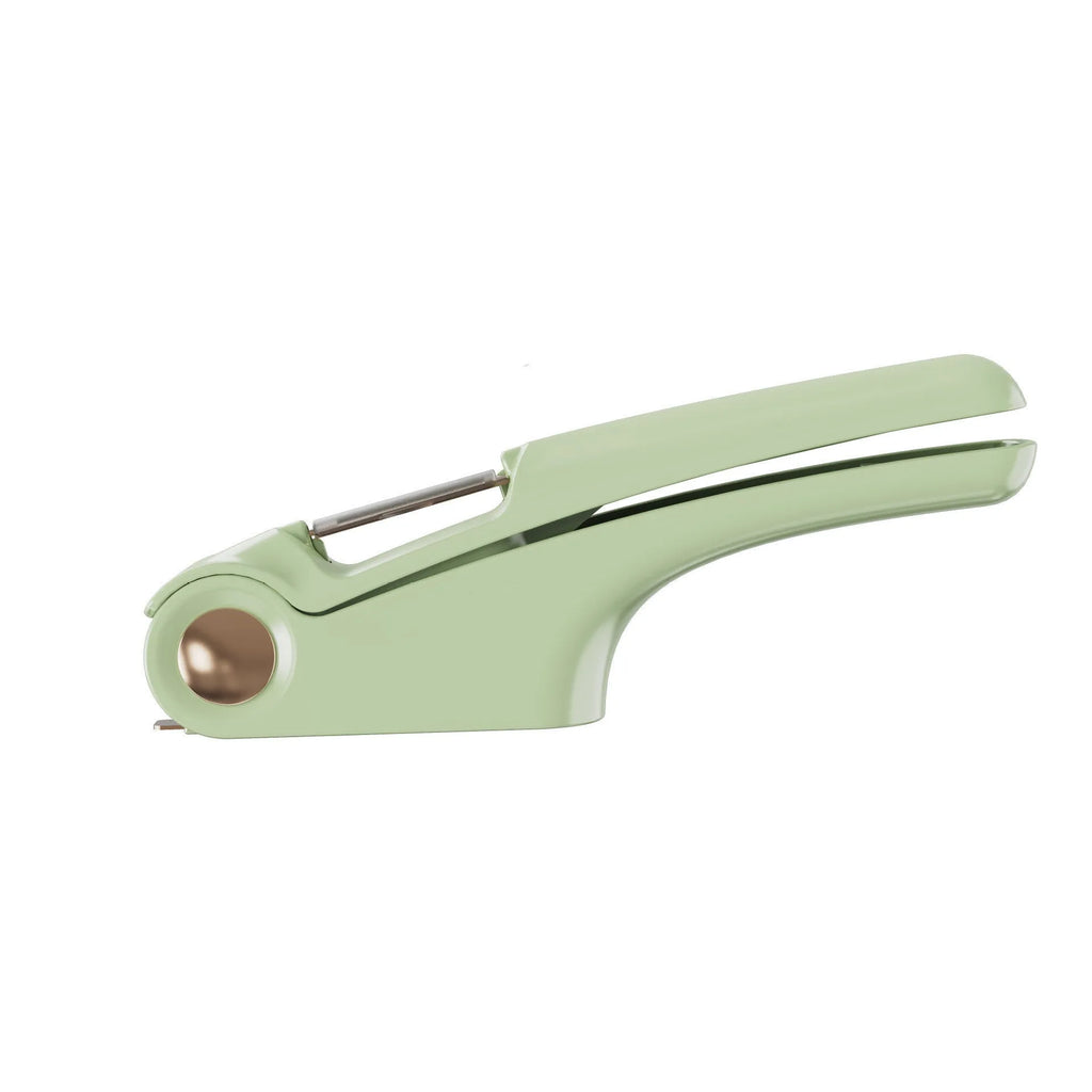Manual garlic press kitchen tool with stainless steel crusher and coloured ABS handle