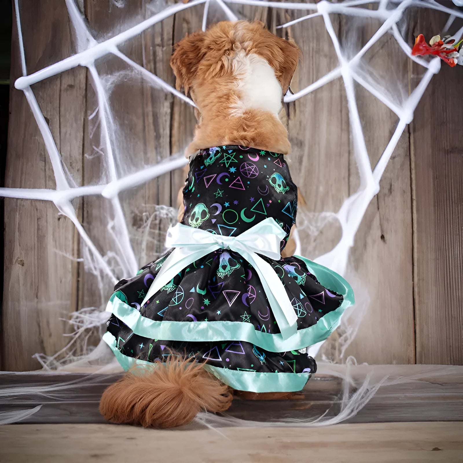 Halloween dog skirt with colourful pumpkin or skull print, double-layer design, size options S M L XL.
