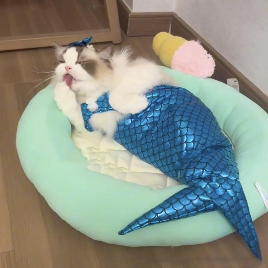 Blue mermaid costume on a cat showing the long glittering fishtail and elastic chest strap.
