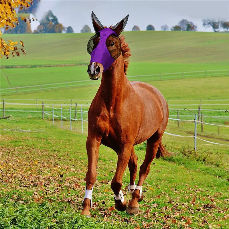 Lycra horse fly mask with ears, check pattern, mesh face, available in blue purple rose red grey black.