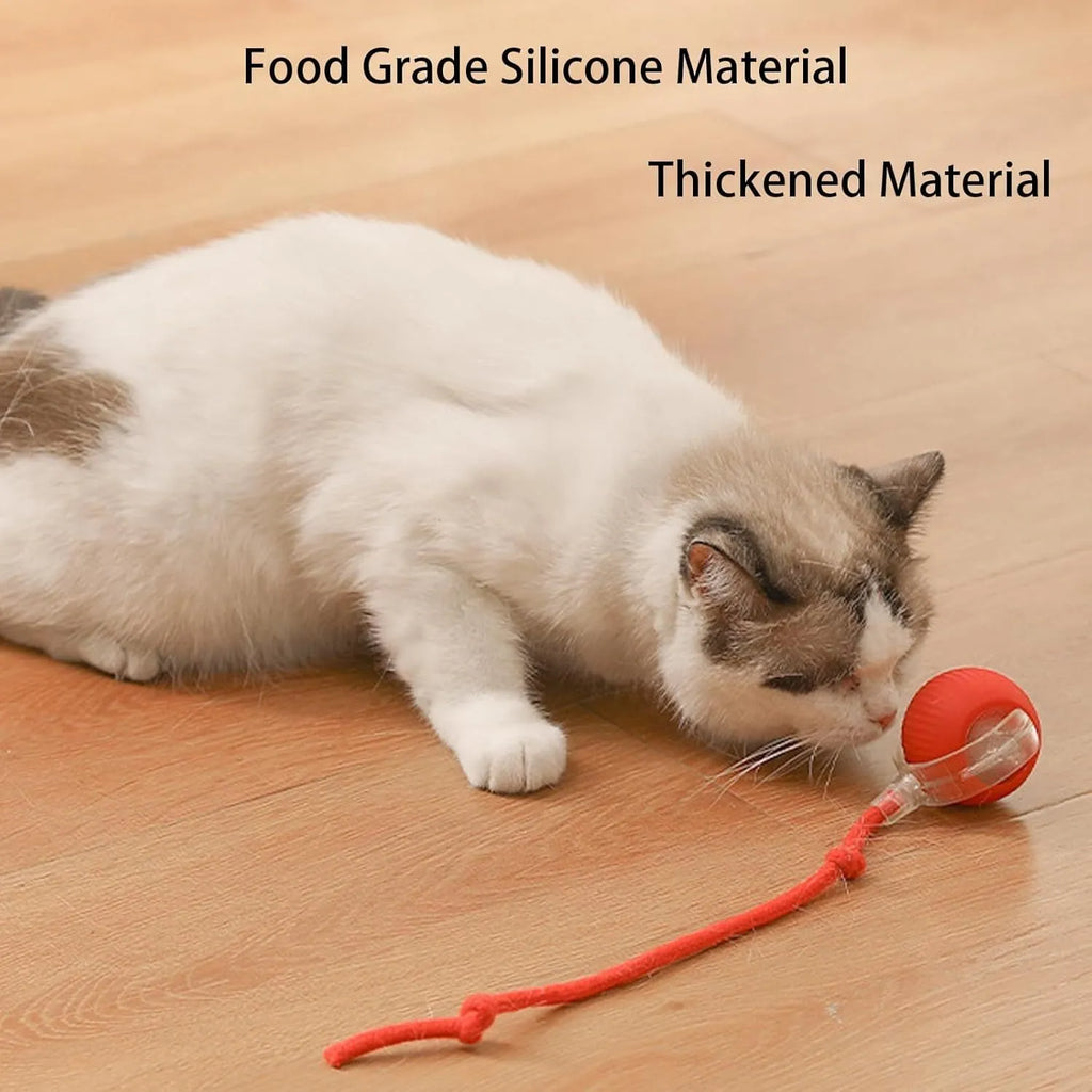 Grey automatic rolling ball toy for dogs and cats with attached rope, showing 6.5cm diameter