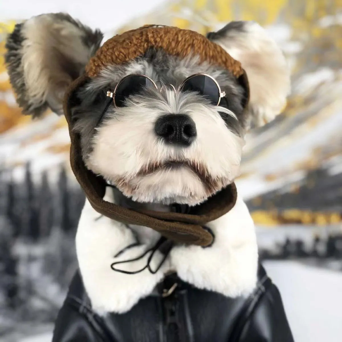 Leather dog jacket for autumn and winter in black and brown colours with vest options