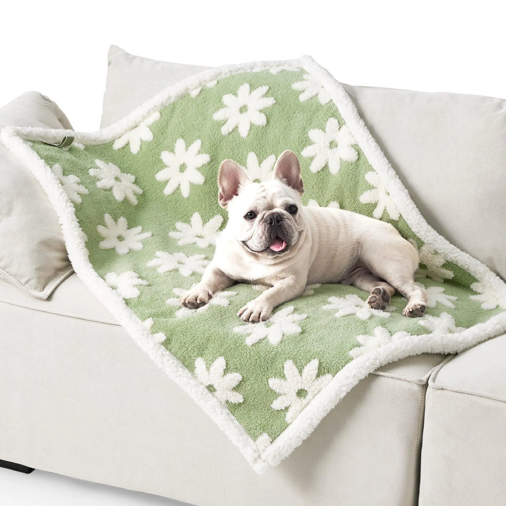 Waterproof dog blanket in blue sky white clouds pattern showing size options