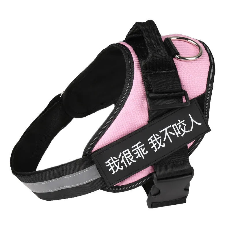 Nylon pet chest harness and leash set in red with adjustable chest strap and towing rope for dog walks