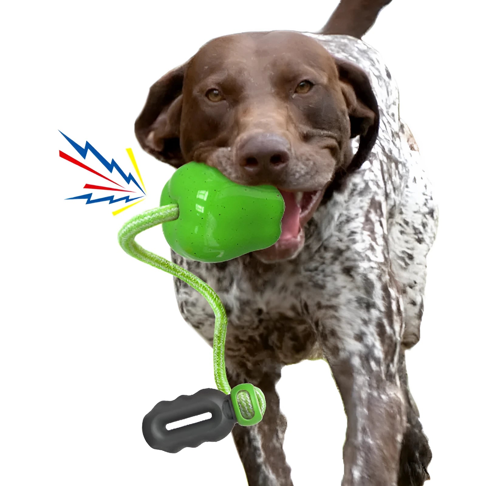 Green and red plastic dog dental toy ball with food-dropping feature and molar-shaped texture