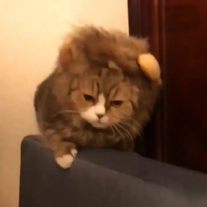 Pet lion headgear wig hat costume on cat with adjustable strap in black colour