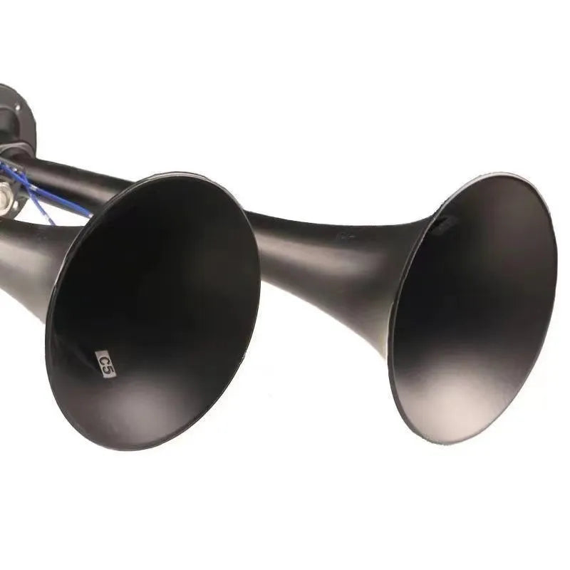 Black 300DB dual trumpet air horn compressor kit for 12V and 24V vehicles.