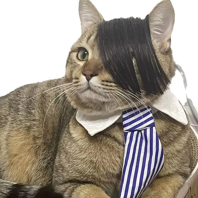 Black polyester imitation braid cat wig for pet costume dress up