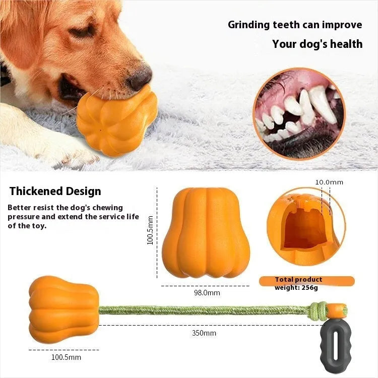 Orange pumpkin-shaped plastic dog chew toy with a blue rope attached for throwing and tugging.