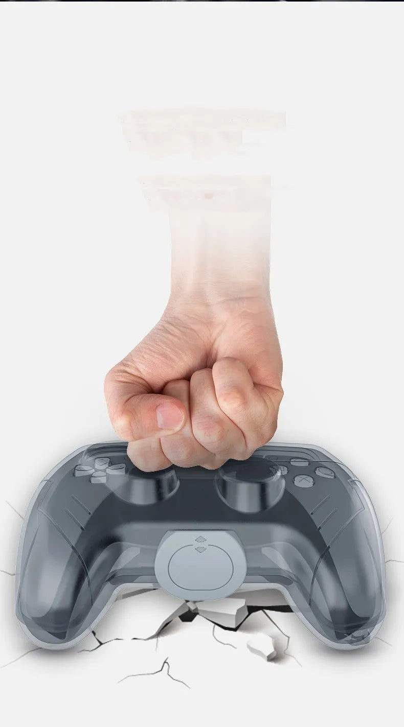 Grey transparent plastic hard storage case for game controllers.