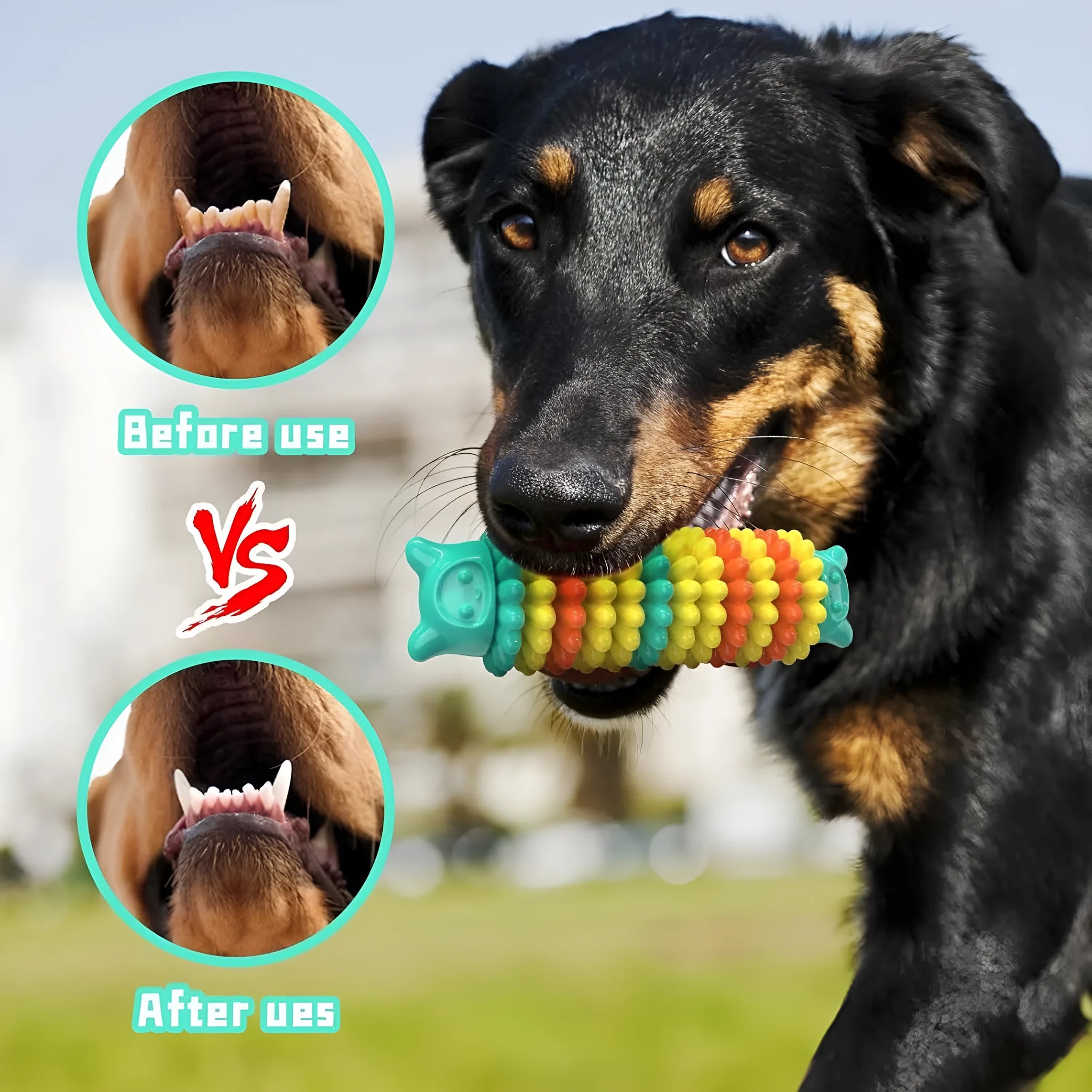 Blue caterpillar-shaped natural rubber dog chew toy for aggressive chewers measuring 17cm long