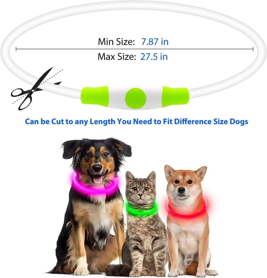 USB rechargeable LED dog collar showing blue glowing light on adjustable TPU collar