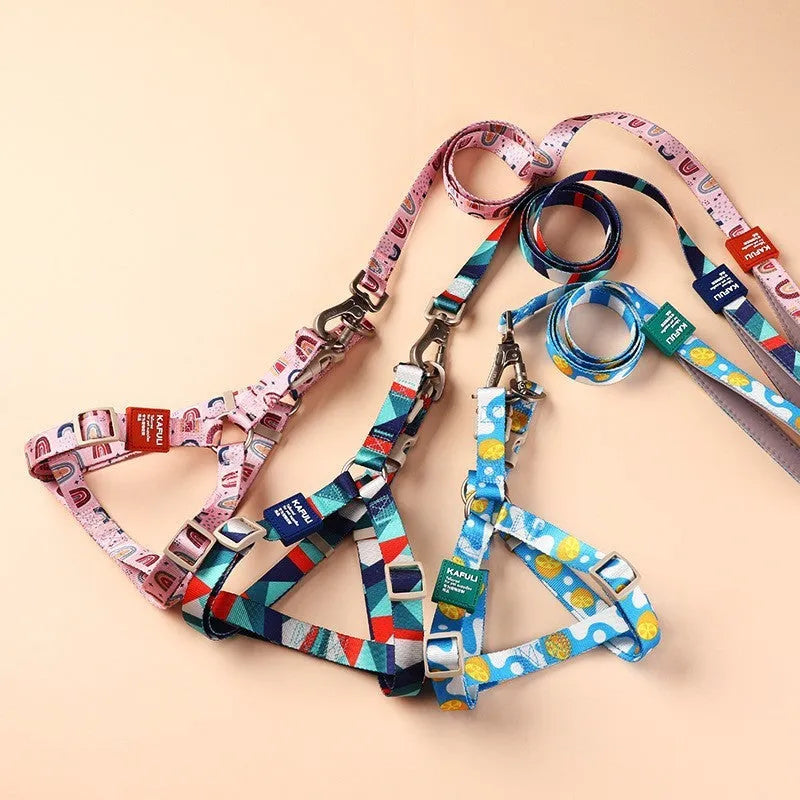 Blue adjustable dog harness and lead combo set shown on a model dog.