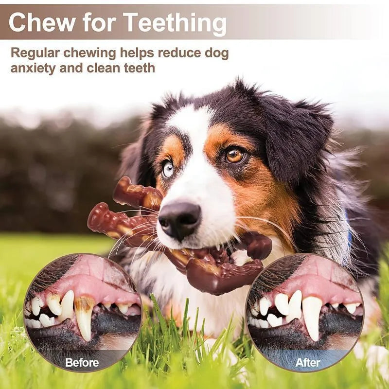 Scarlet red beef-flavoured nylon dog chew toy for molar cleaning and dental exercise