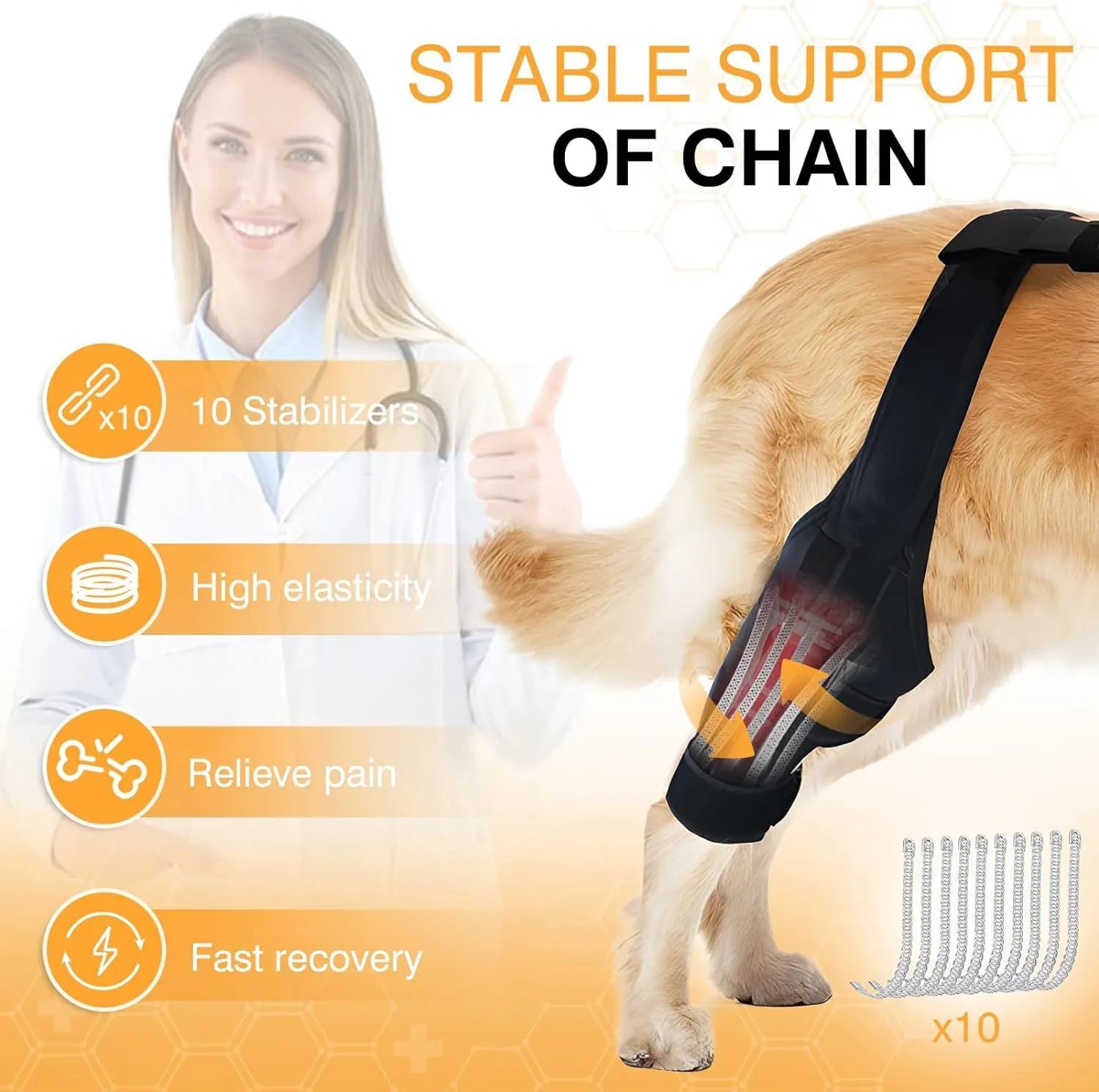 Dog leg protector knee brace with adjustable auxiliary belt on a medium-sized dog's hind leg for joint support