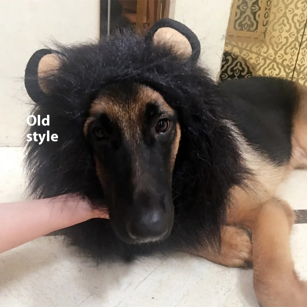 Dog wearing lion head costume wig in light brown colour with elastic neckband