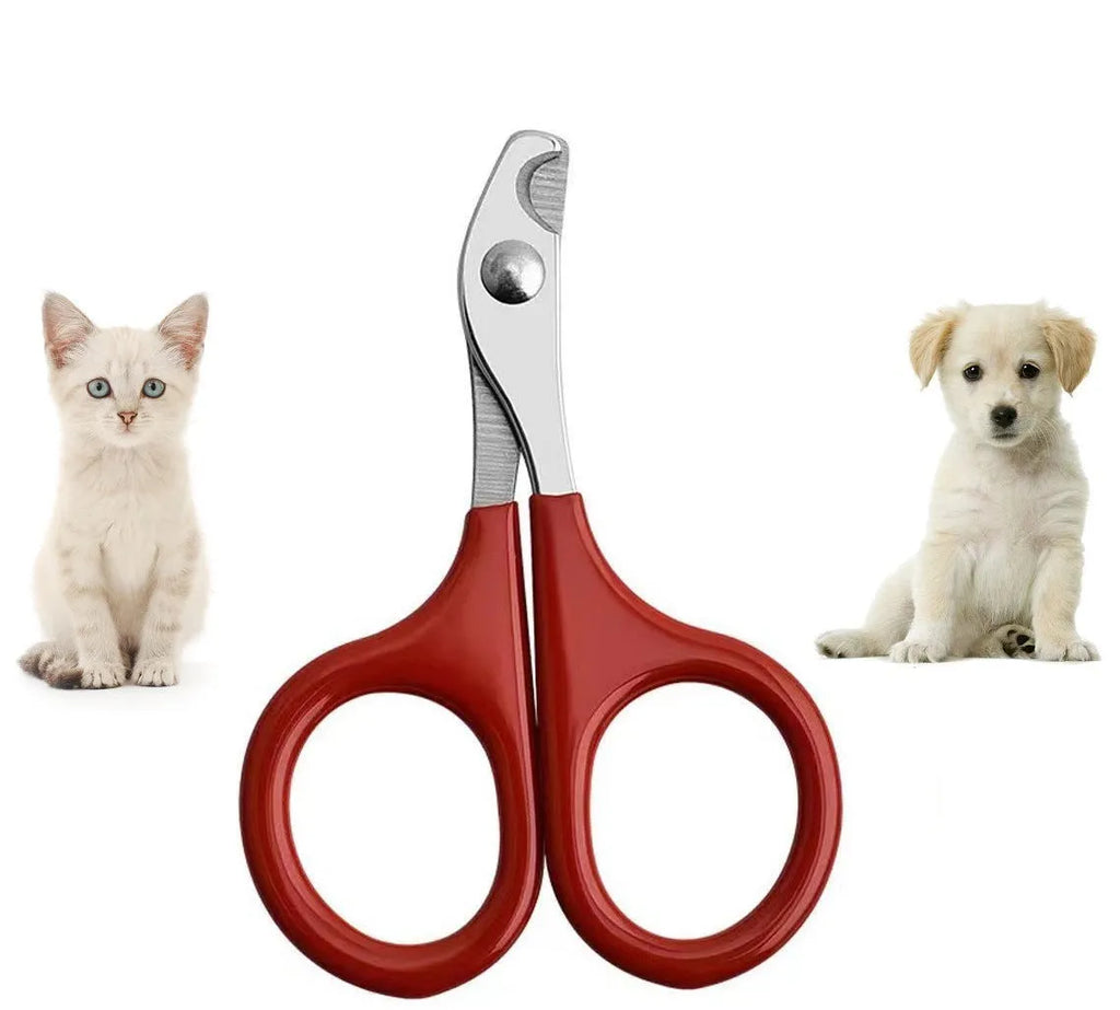 Close-up of pet nail clippers with stainless steel blades and a coloured rubberised handle.