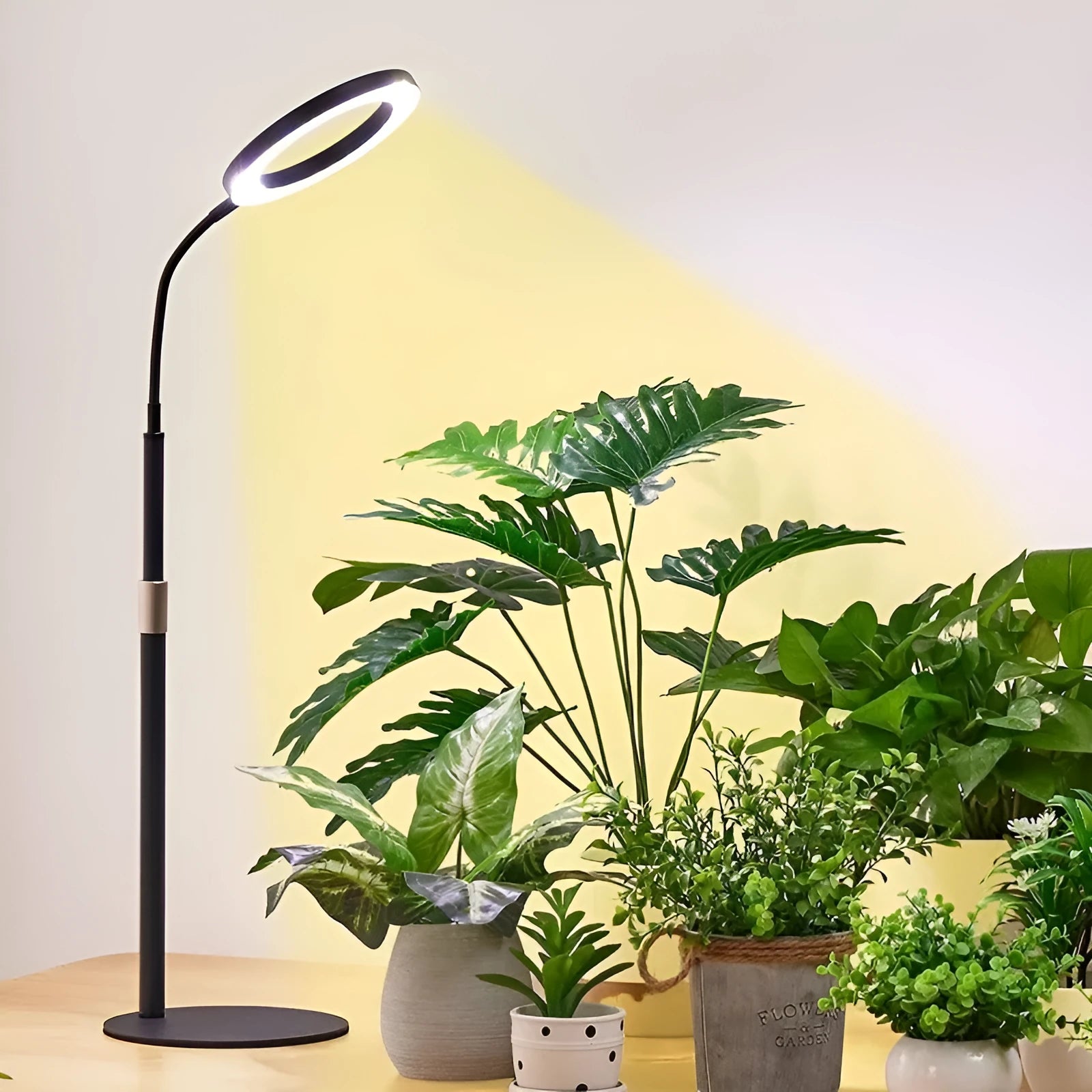 6-inch Angel Ring retractable floor plant grow light with aluminium alloy stand and circular LED light panel