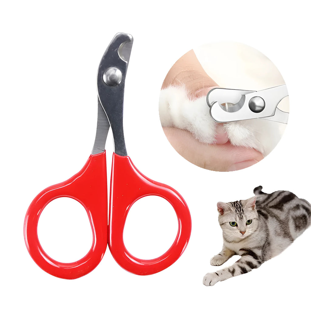 Close-up of pet nail clippers with stainless steel blades and a coloured rubberised handle.