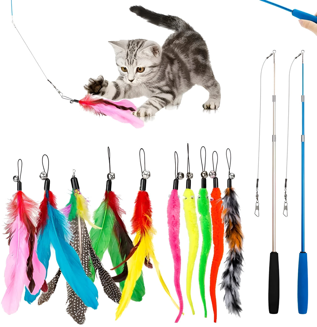 Cat teasing pole set with extendable fishing rod wand and feather attachments