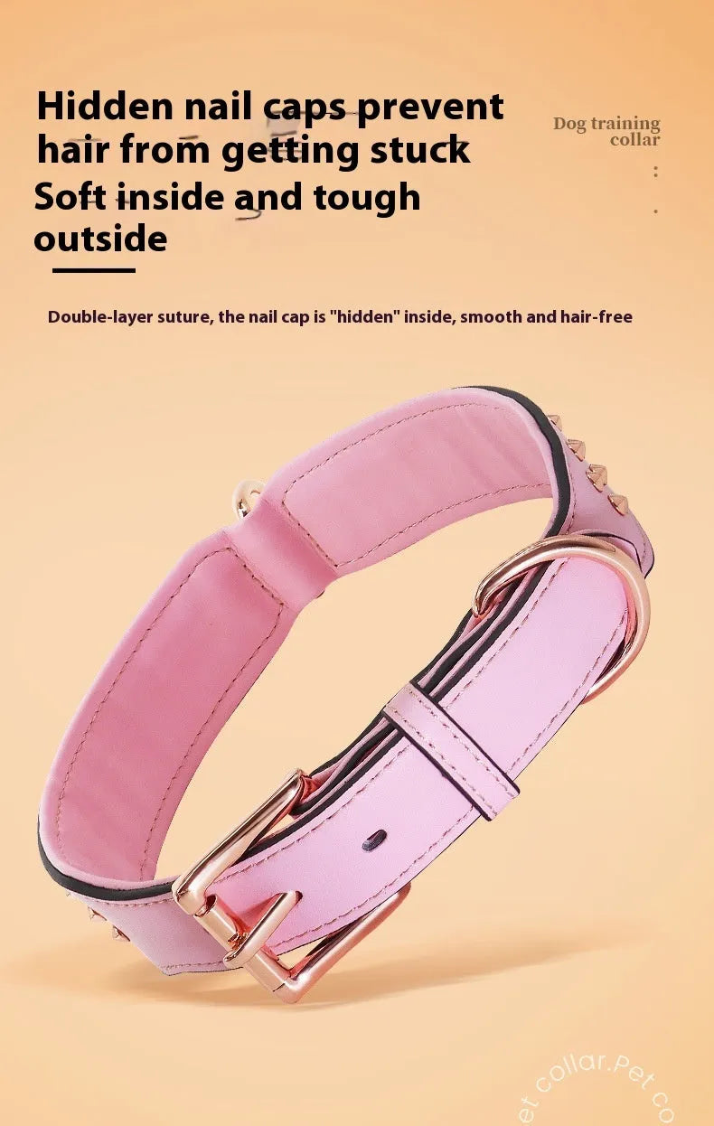 Leather dog collar with metal anti-bite rivets and a buckle, shown in black colour.