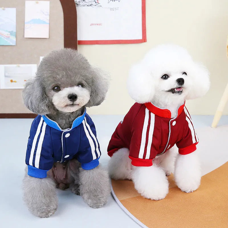 Red and blue V-shaped splicing cotton dog coat for dogs on size mannequin