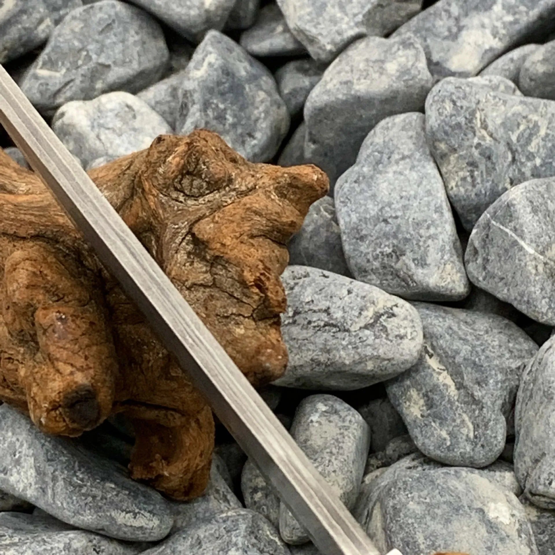 Outdoor camping short knife with Damascus pattern blade and Thuja wood handle showing 18cm length