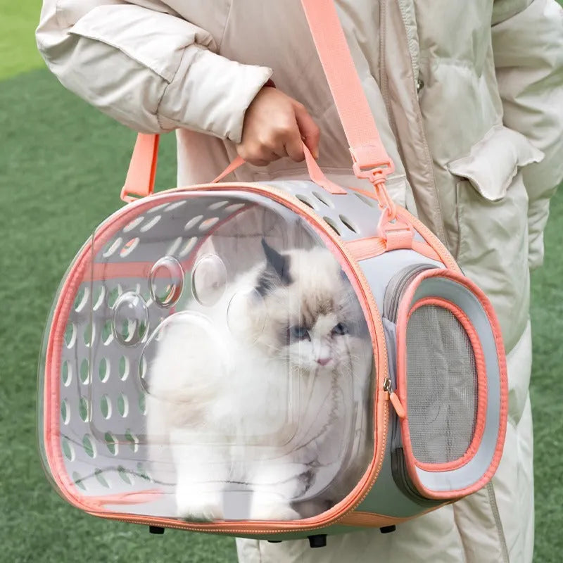 Large transparent hard EVA cat backpack carrier in grass green colour, showing spacious interior.