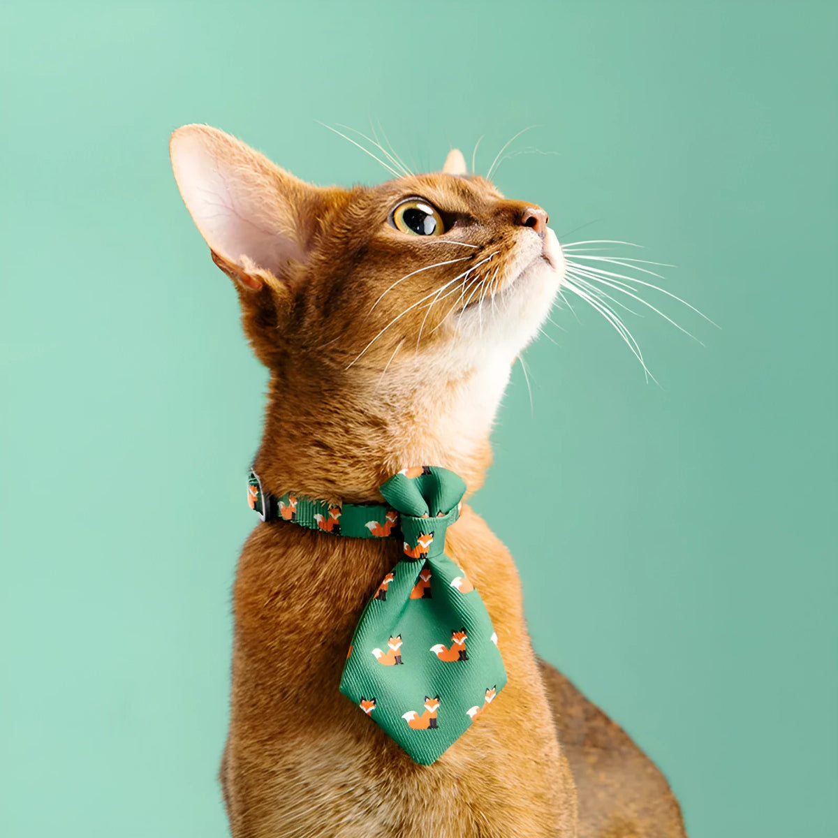 Adjustable dog collar with necktie and bow tie, 18-30cm neck, polyester and POM, multiple colours.