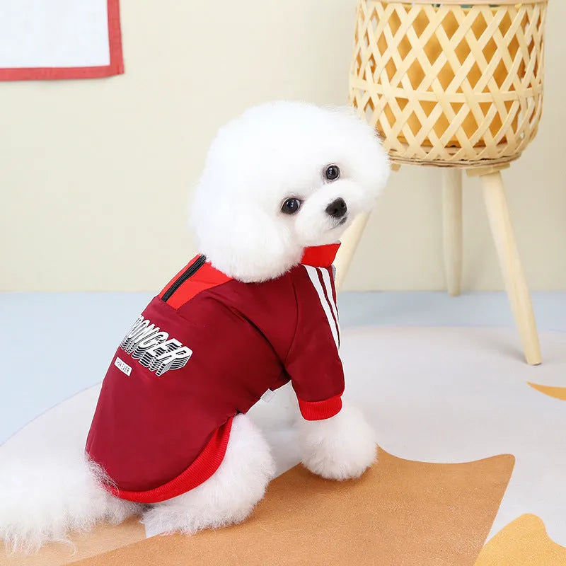 Red and blue V-shaped splicing cotton dog coat for dogs on size mannequin