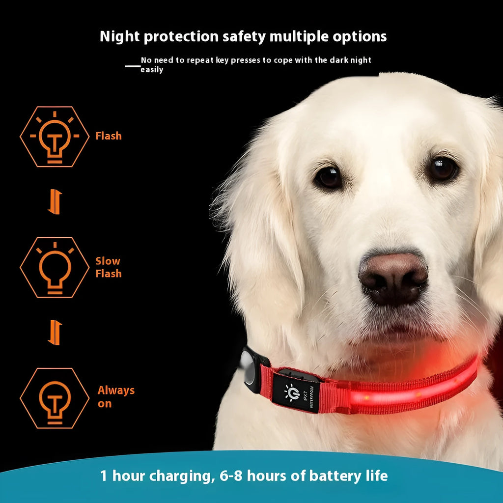 Waterproof LED pet luminous collar with nylon battery box for dogs and cats, available in multiple colours and sizes S M L