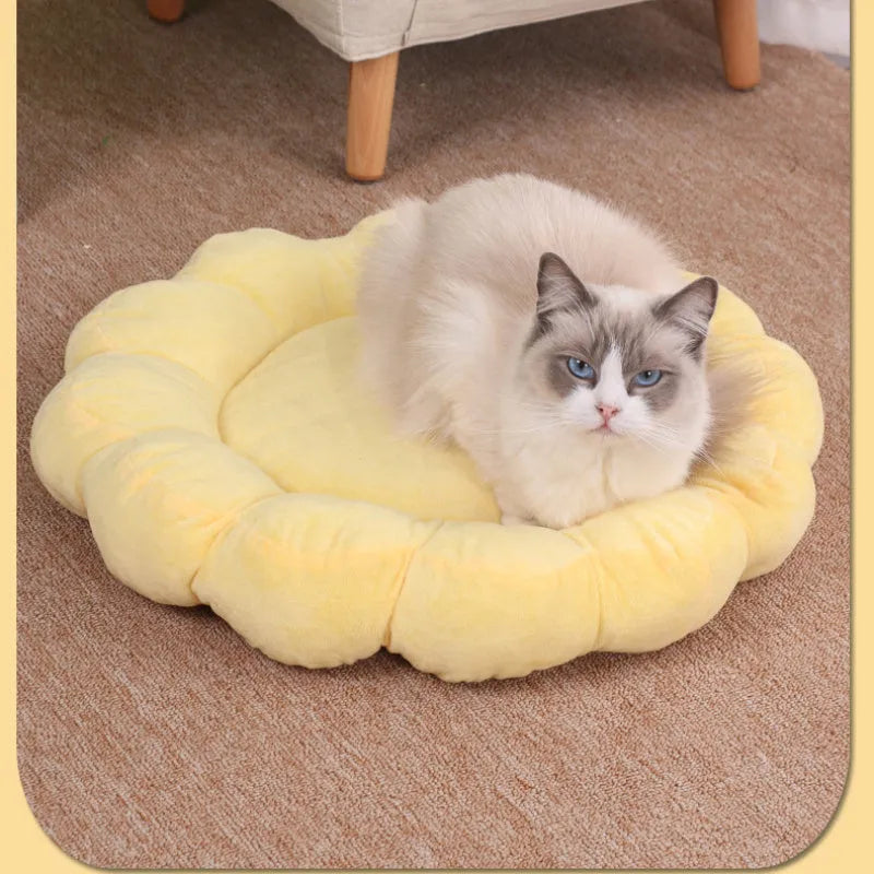 Square blue pet bed cushion with a half-surrounded side and short plush fabric