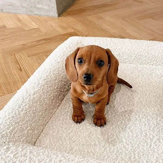 Beige rectangular cloth dog bed sofa nest for pets on a floor
